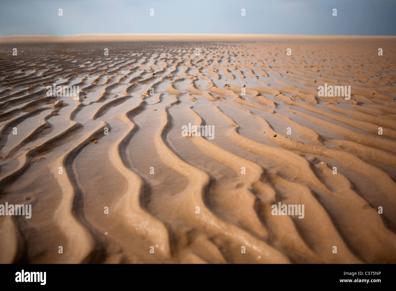 Ein Strand in der Nähe von Burnham Overy Staithe in North Norfolk Stockfoto