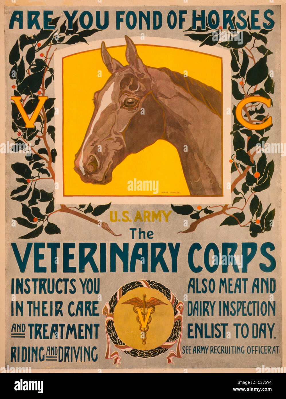 Sind Sie Gern Der Pferde US Army Veterinary Corps Recruiting Poster 