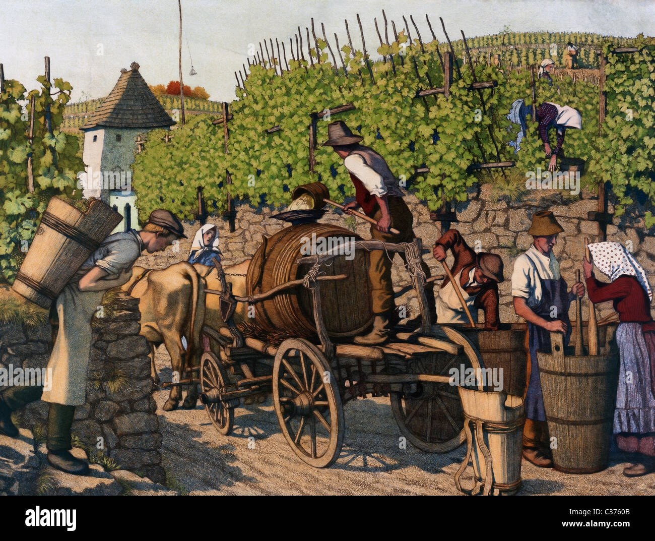 Die Weinlese - Vintage Illustration der Trauben geerntet Stockfoto