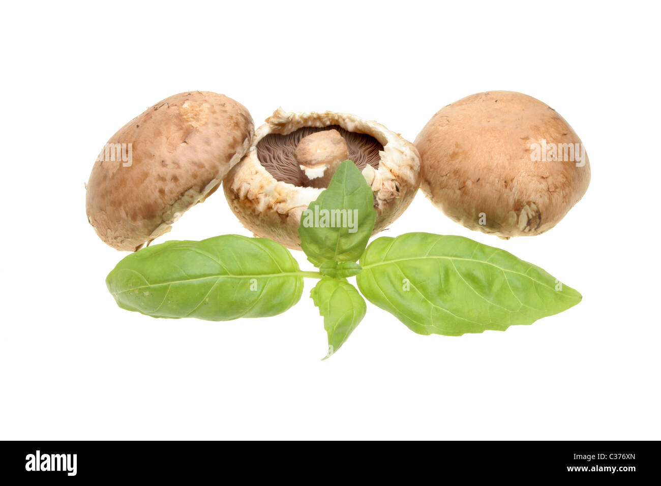 Portabella Pilze und frische Basilikumblätter Kraut isoliert auf weiss Stockfoto