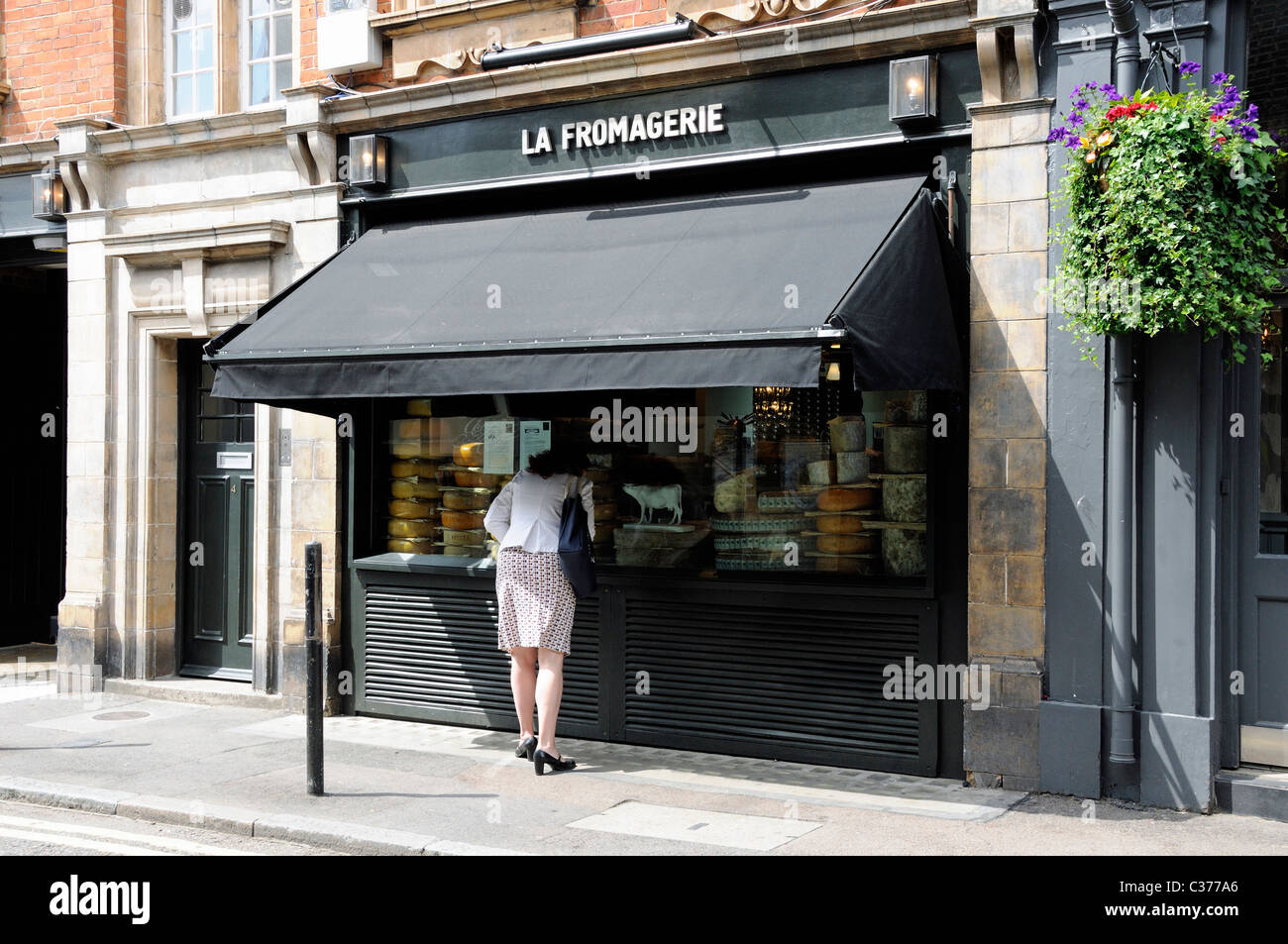 Lady auf der Suche in La Fromagerie Käse einkaufen Moxon Seitenstraße der Marylebone High Street London England UK Stockfoto