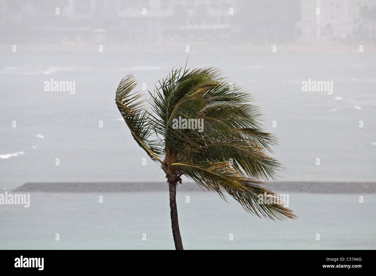 Ein tropischer Sturm peitscht Waikiki mit starkem Wind und Regen, Honolulu, Hawaii. Stockfoto