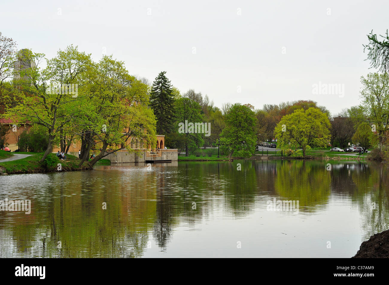 Das Spiegelbild der Bäume in Washington Park See, Albany NY. Stockfoto