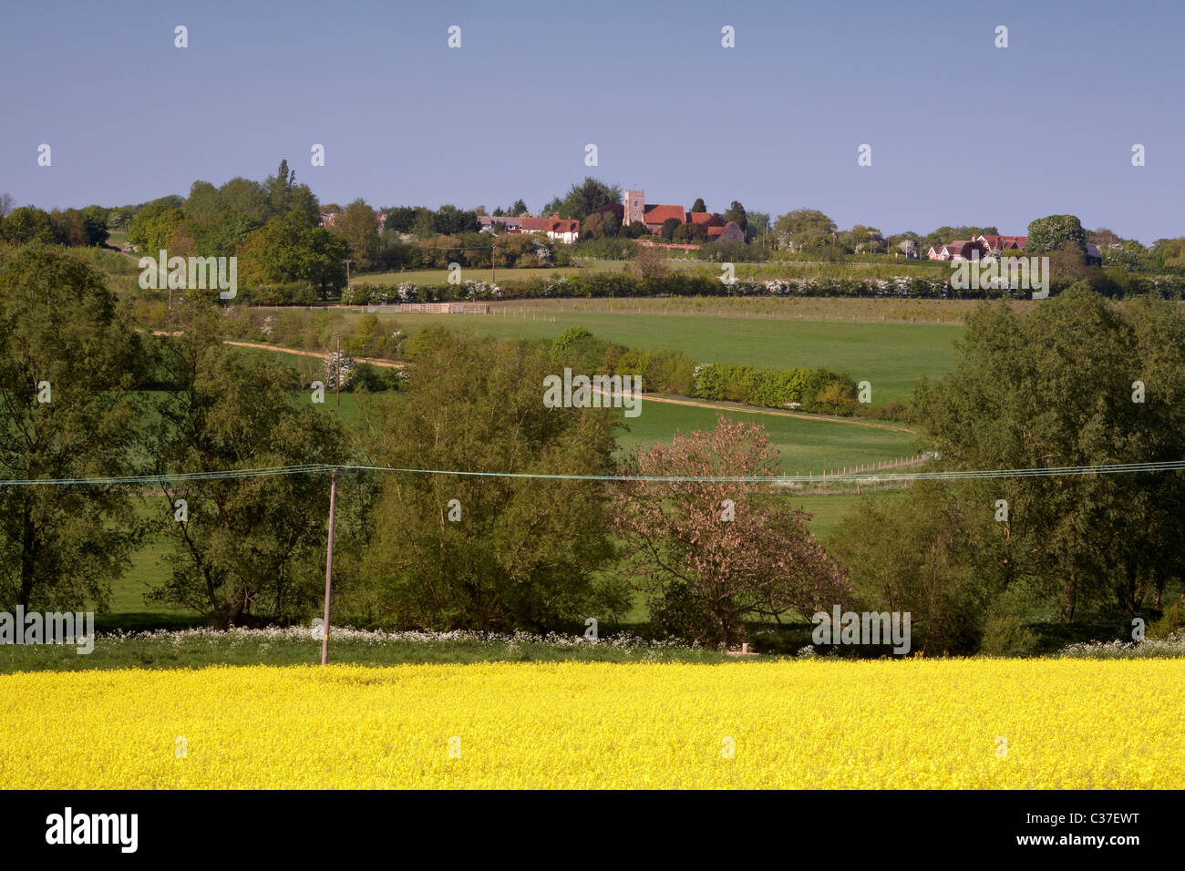 England-Essex Blick Nordost Fordham Dorf über Fluss Colne Valley und Woodland Trust verwaltete Land. Stockfoto