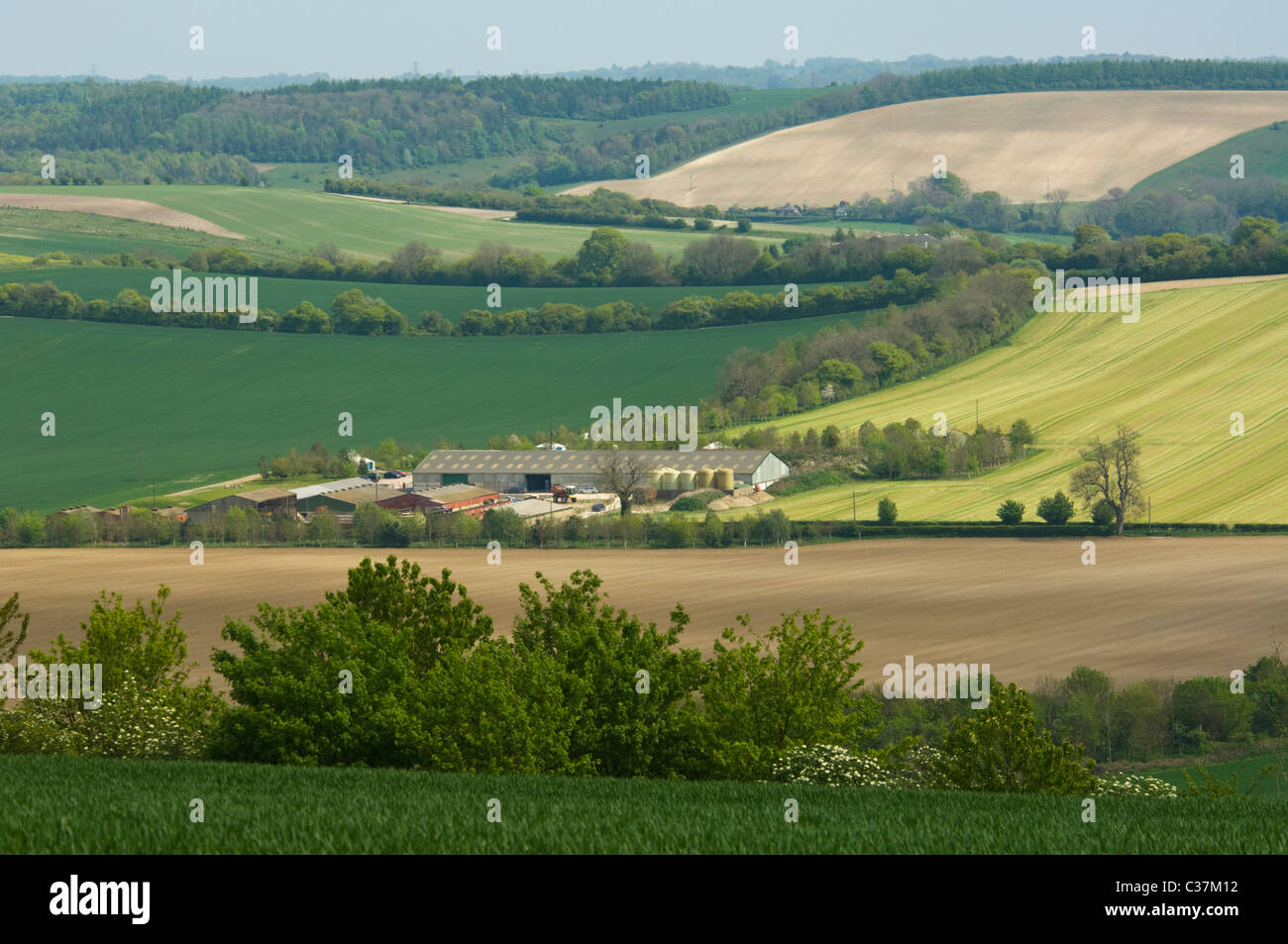 Blick auf Ackerland in der malerischen Hügellandschaft, Meon Valley, Hampshire, Großbritannien Stockfoto