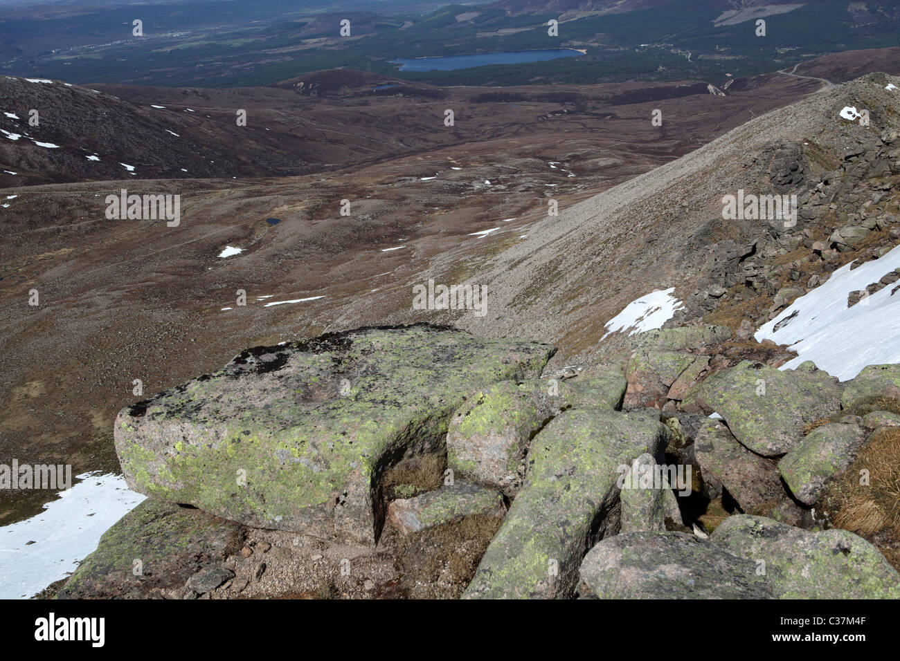 Cairn Gorm und die nördlichen Hochgebirgsflora - Creag An Leth-Kalkstein - Lurcher des Felsen von Cairn man - Aviemore - Schottland - UK Stockfoto