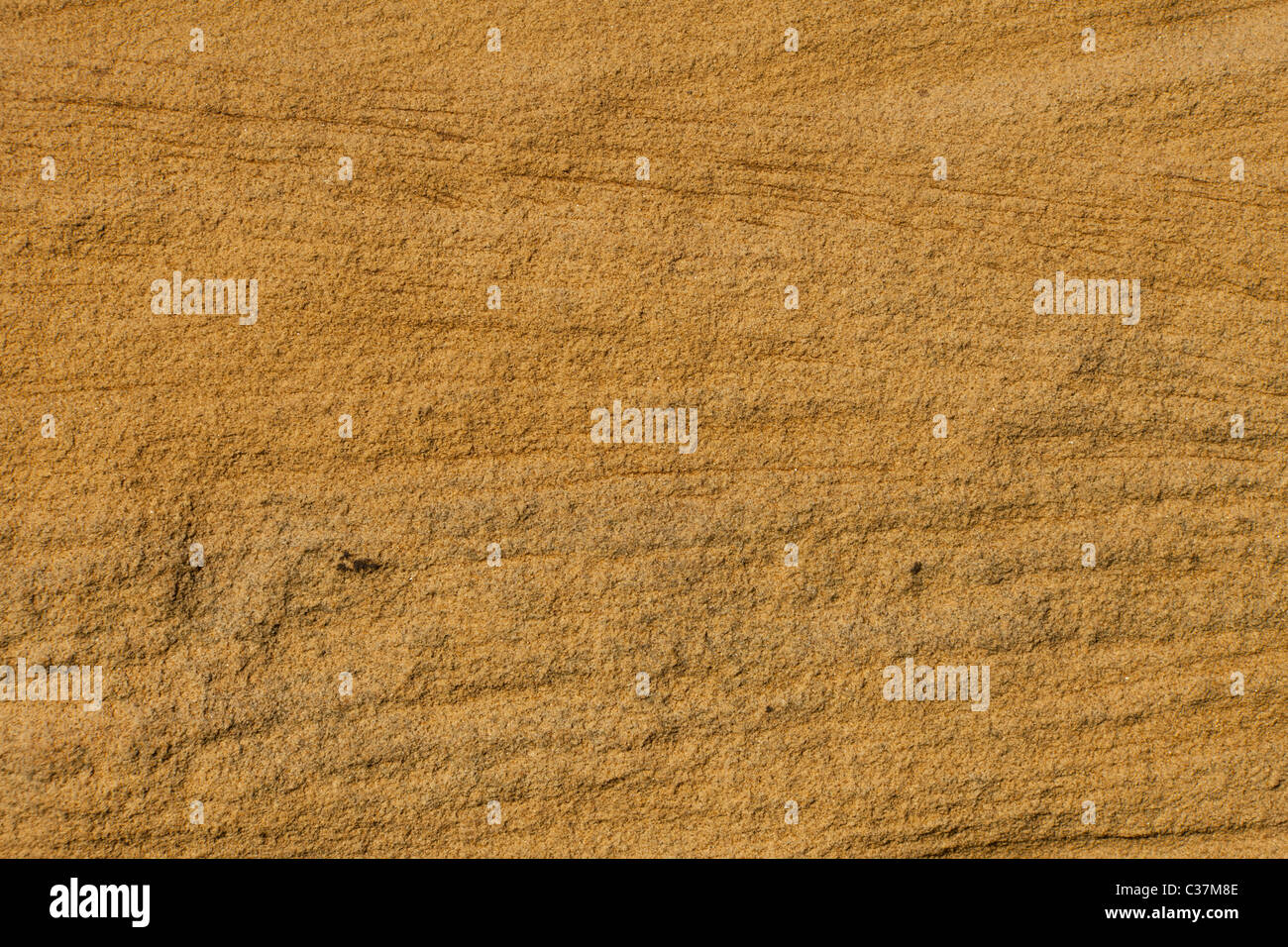 eine tiefen braunen Sandstein Struktur ideal für einen Hintergrund Stockfoto