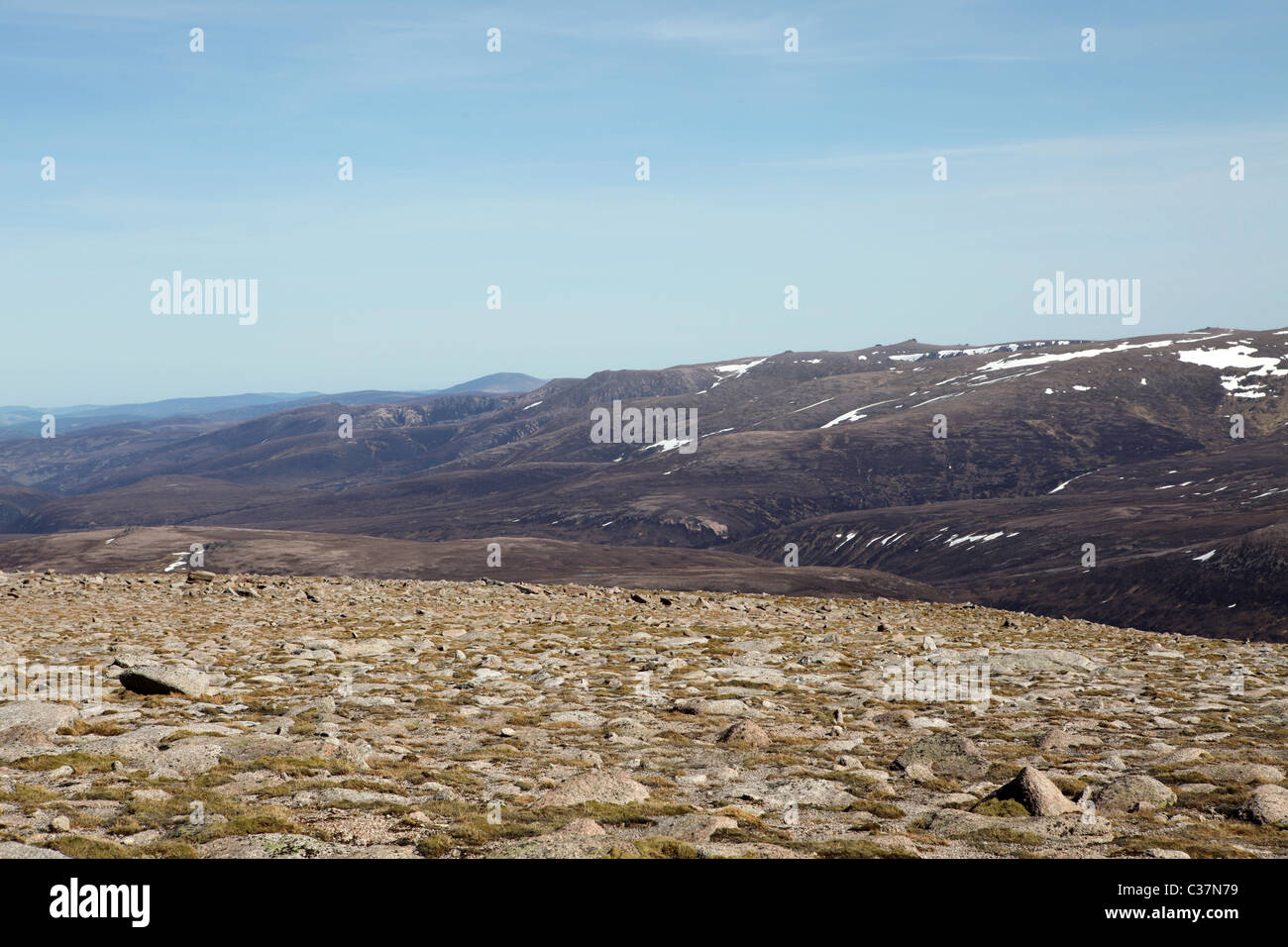 Cairn Gorm und die nördlichen Hochgebirgsflora - Creag An Leth-Kalkstein - Lurcher des Felsen von Cairn man - Aviemore - Schottland - UK Stockfoto