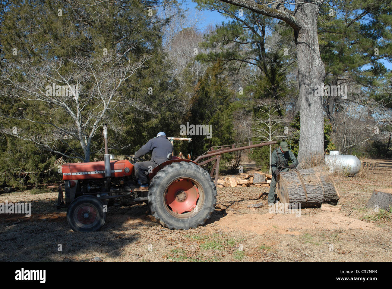 Traktor anheben Abschnitte eines Protokolls in Holz geschnitten werden. Stockfoto