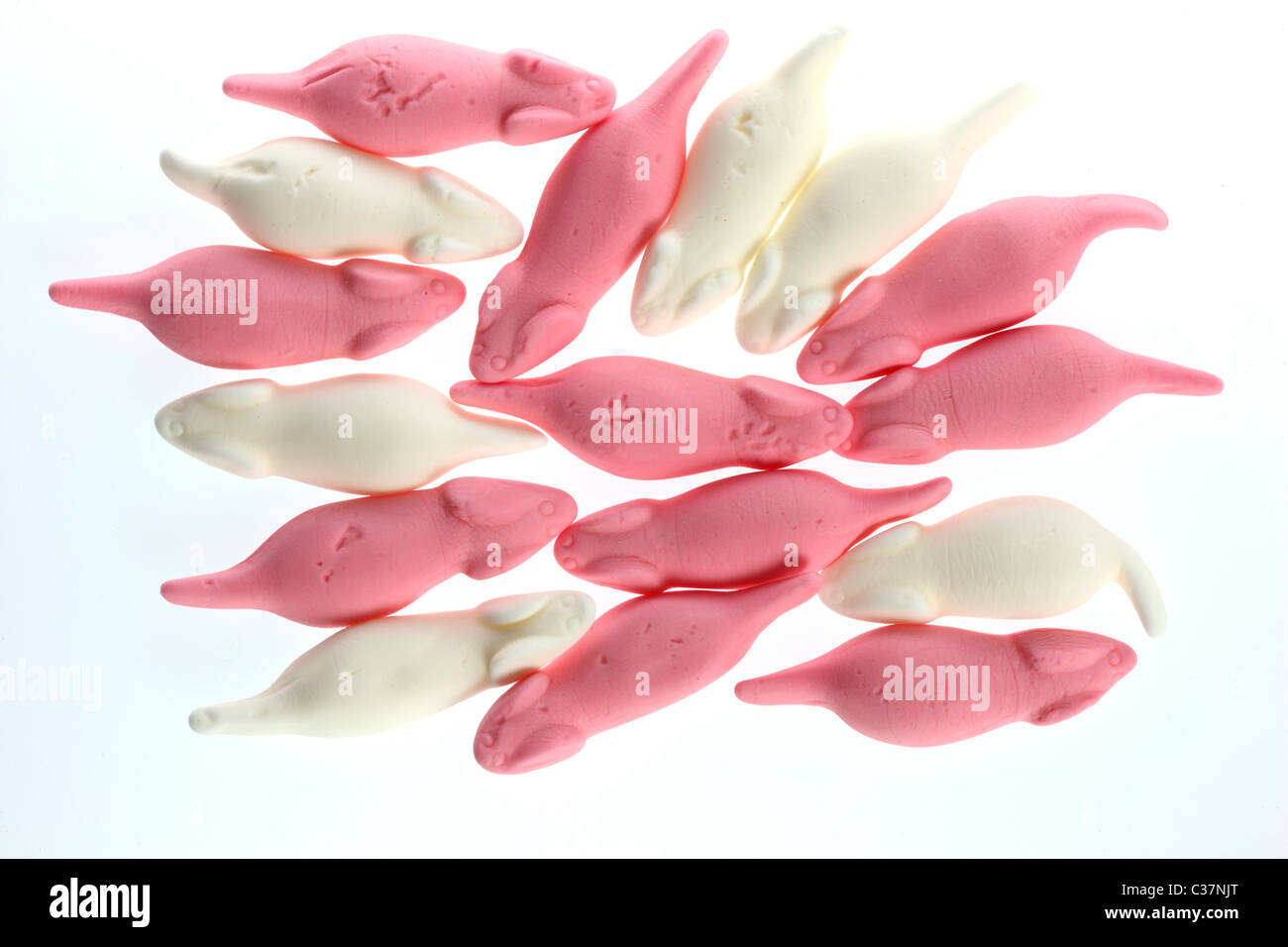 pflanztopf frauenbüste Pflanztopf Büste Alea Keramik rosa – hibiskuswerk main image 0
