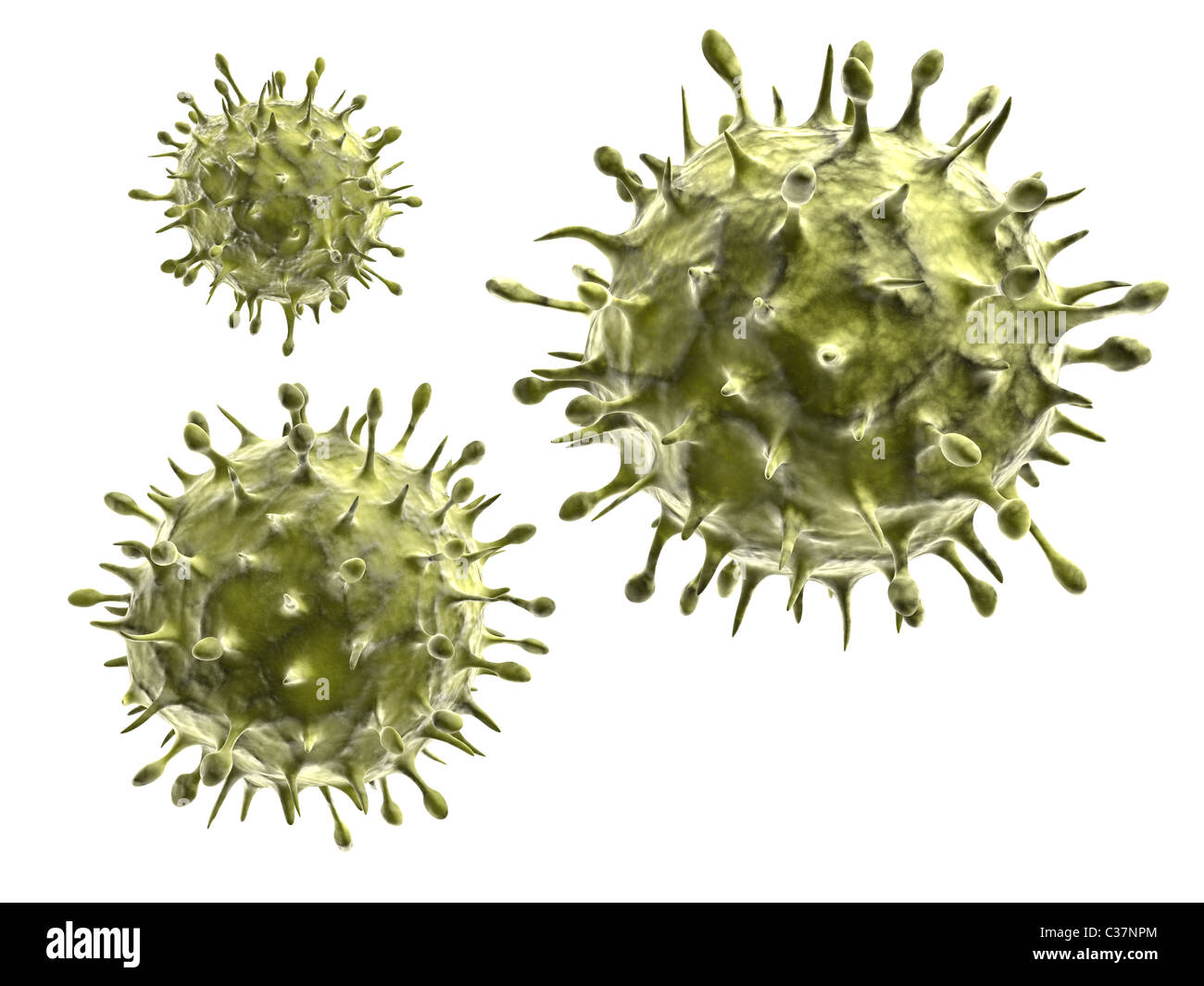 H1N1-virus Stockfoto