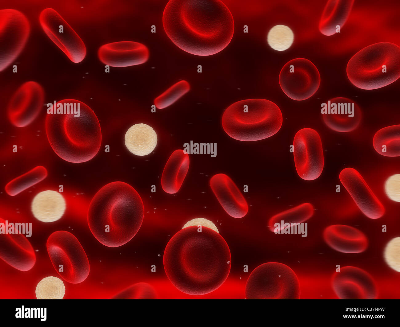 Streaming-Blut Stockfoto