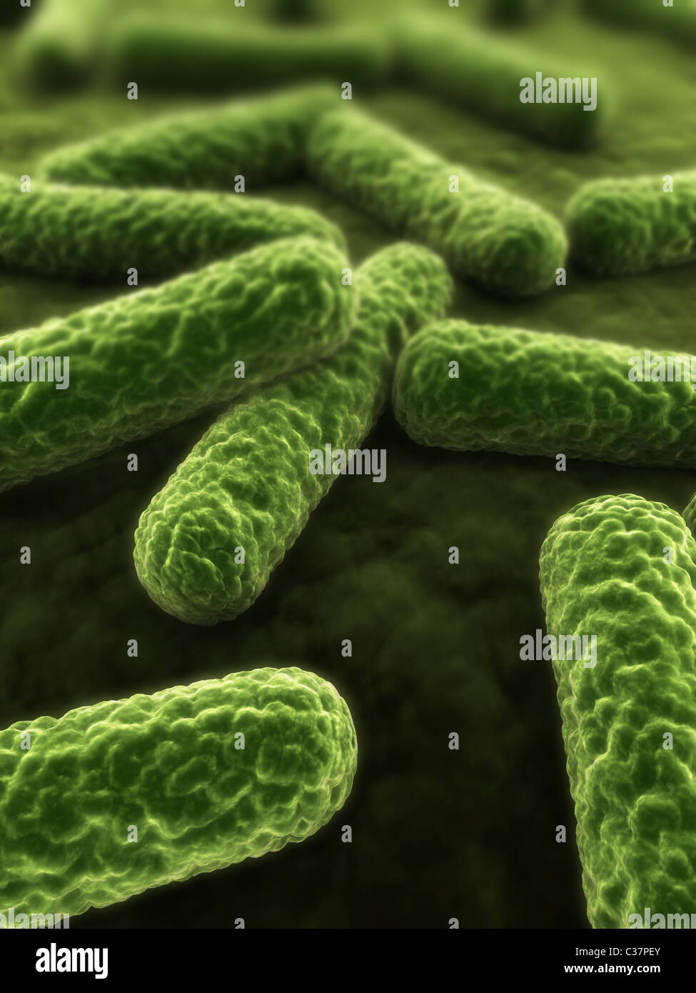 3D Bakterien Stockfoto