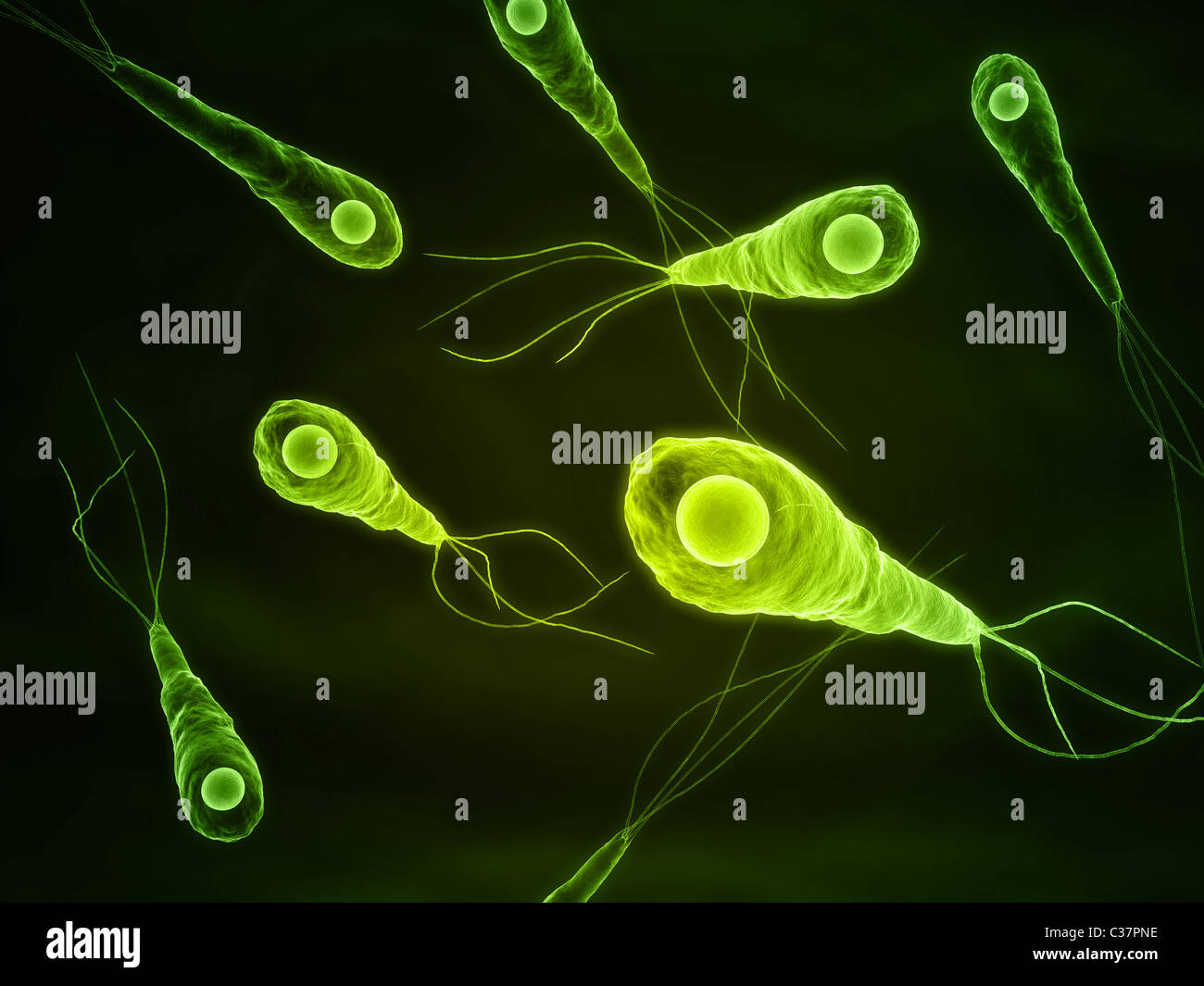 Tetanus Stockfotos und bilder Kaufen Alamy