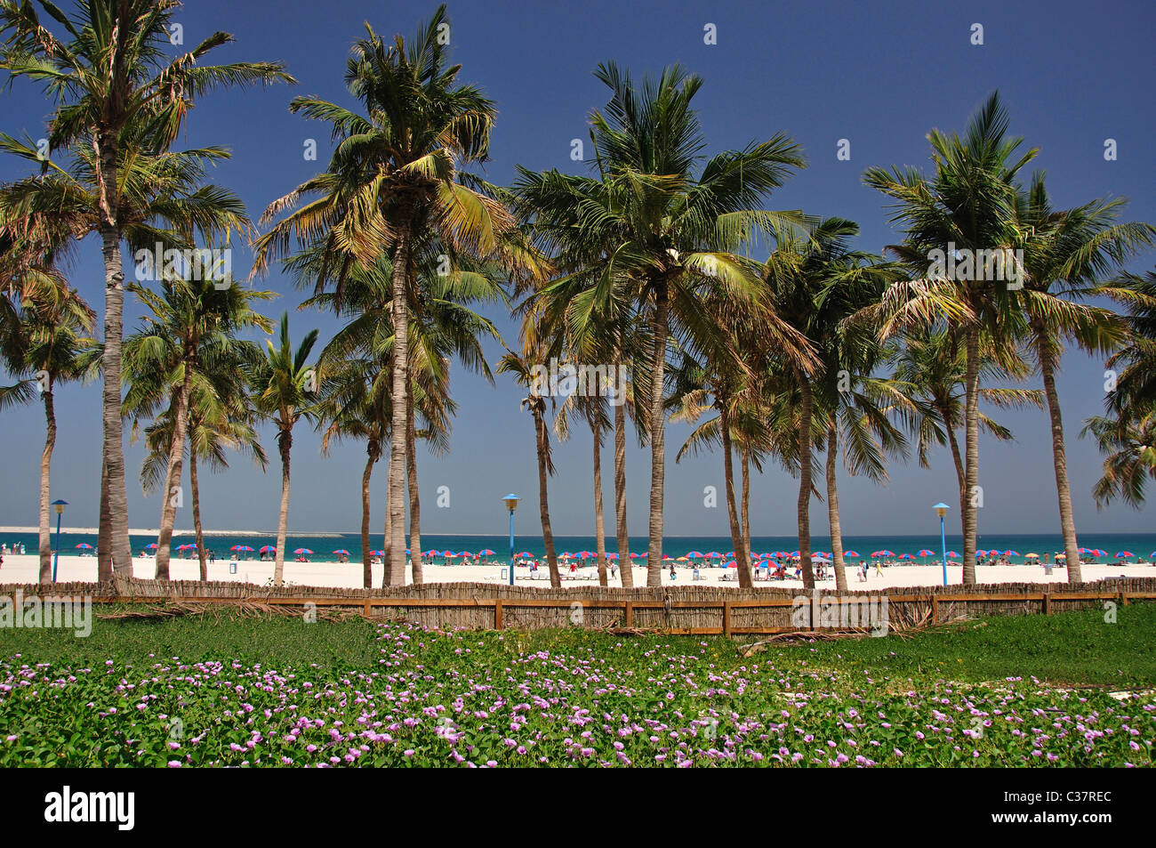 Strandblick, Jumeirah Beach Park, Jumeirah, Dubai, Vereinigte Arabische Emirate Stockfoto