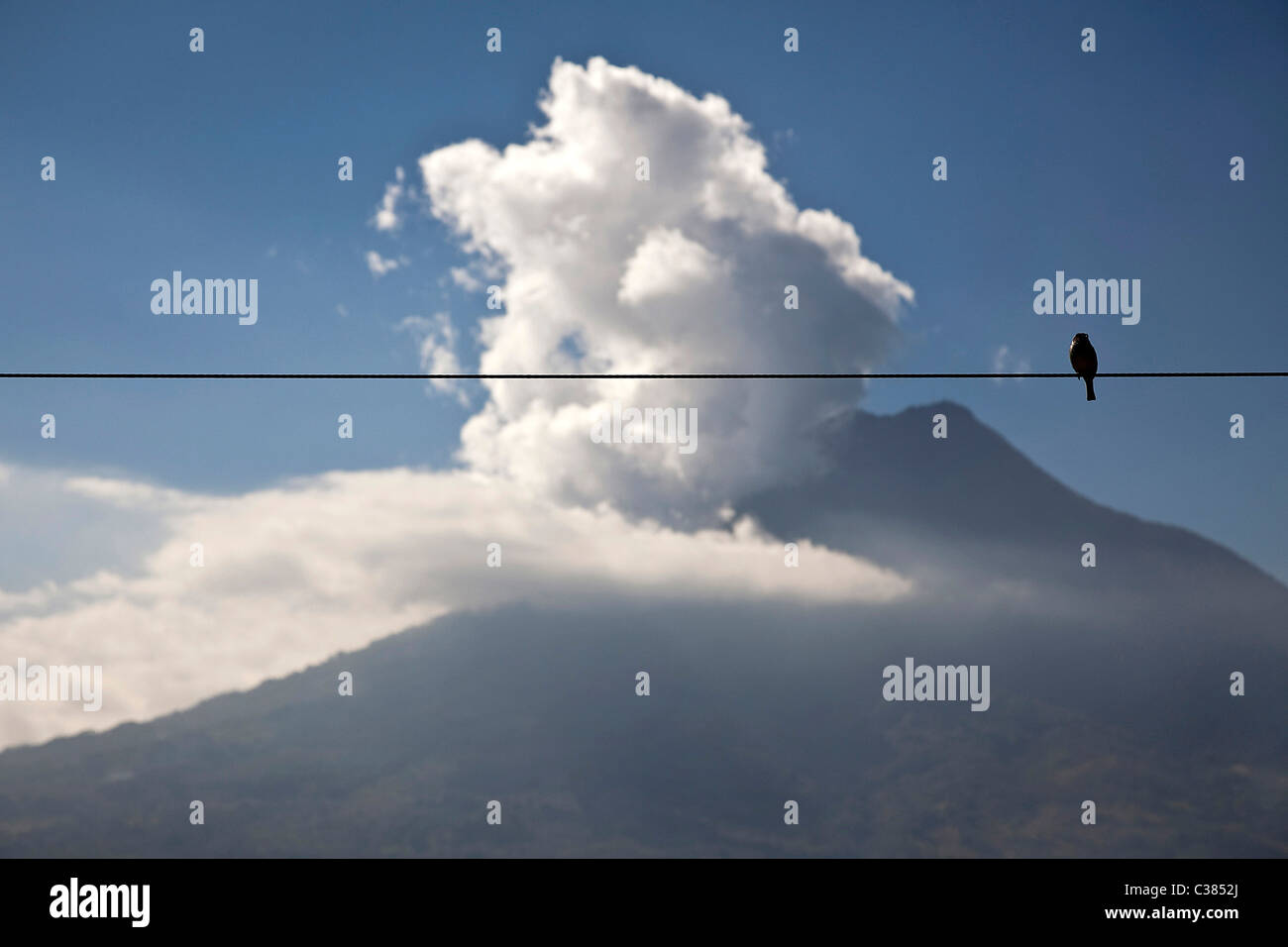 Volcan Pacaya, Antigua Guatemala, Sacatepequez, Guatemala, Amerika Stockfoto
