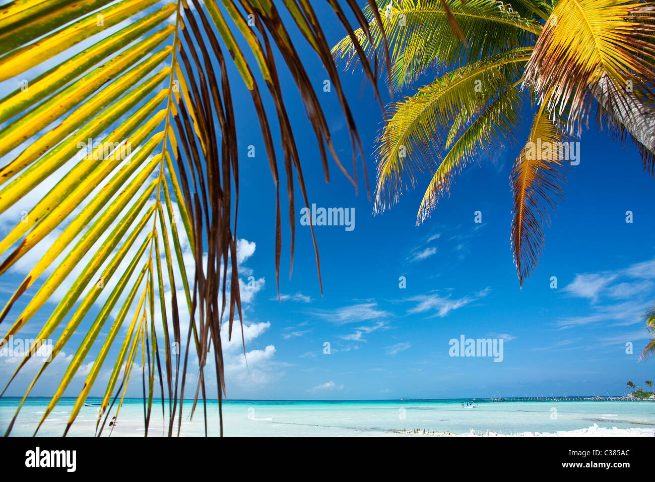 Isla Mujeres, Yucatan, Mexiko, Amerika Stockfoto