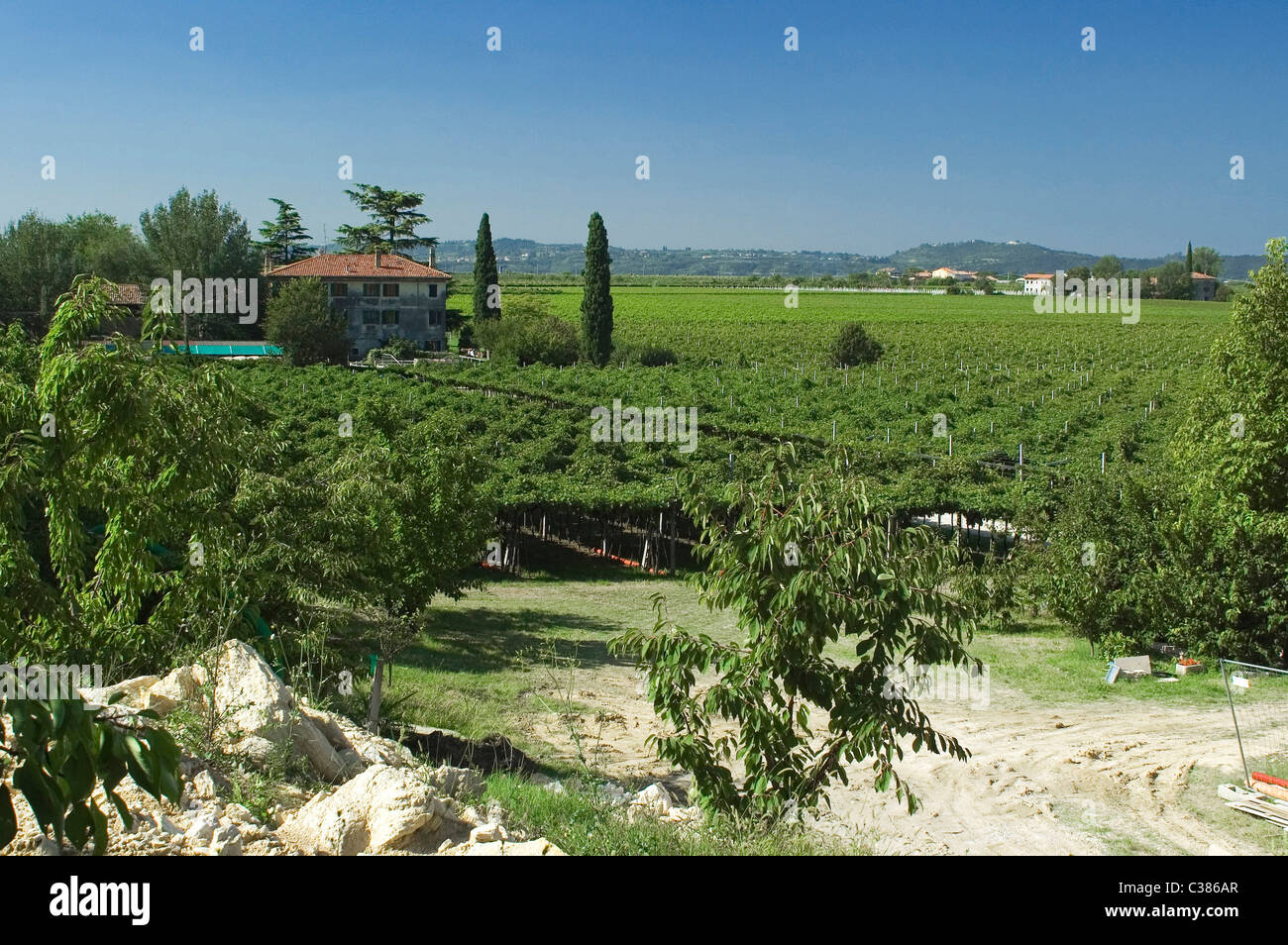 San Pietro in Cariano, Valpolicella, Verona, Veneto, Italien, Europa Stockfoto