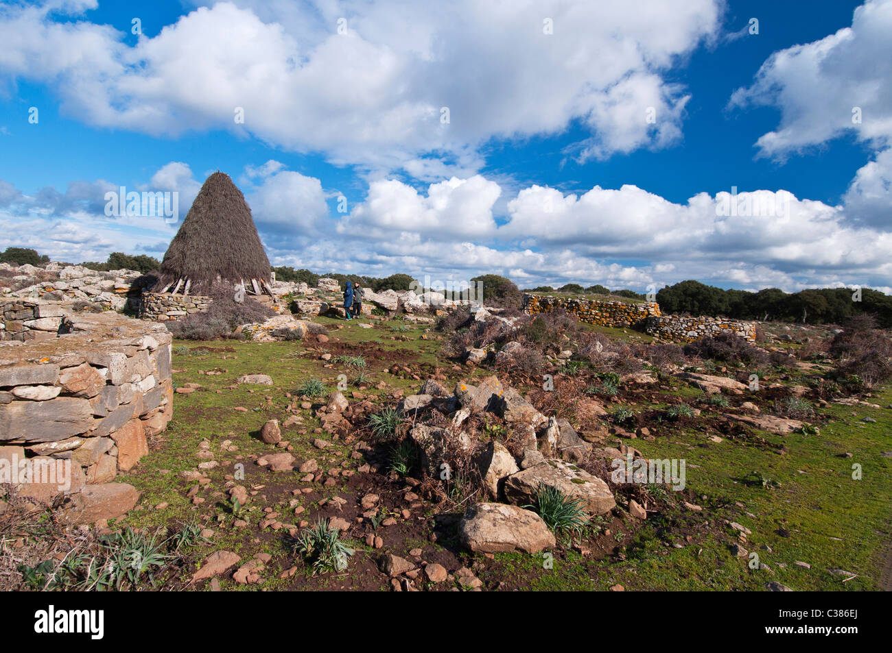 Coili Sa Bovida, Schafstall, basaltischen Hochebene Giara di Gesturi, Marmilla, Provinz Medio Campidano, Sardinien, Italien Stockfoto