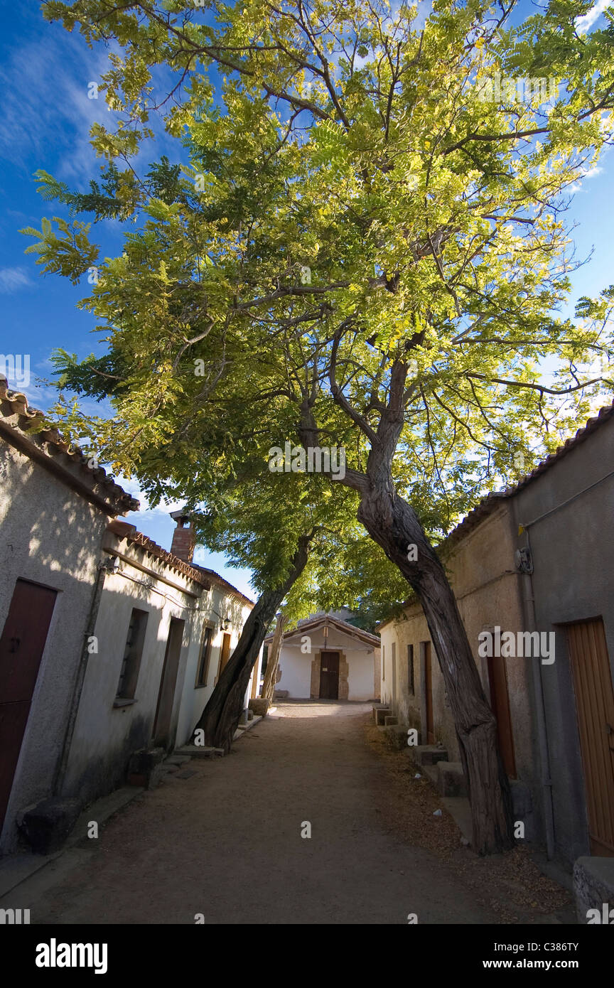 San Salvatore westliches Land, Cabras, Bezirk von Oristano, Sardinien, Italien, Europa Stockfoto