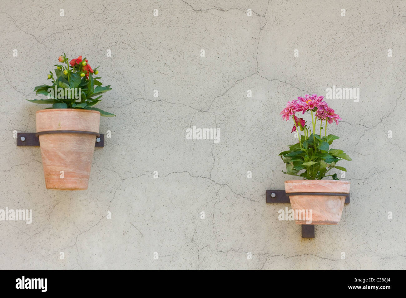 Zwei Blumentöpfe an Wand, Krakau, Polen Stockfoto