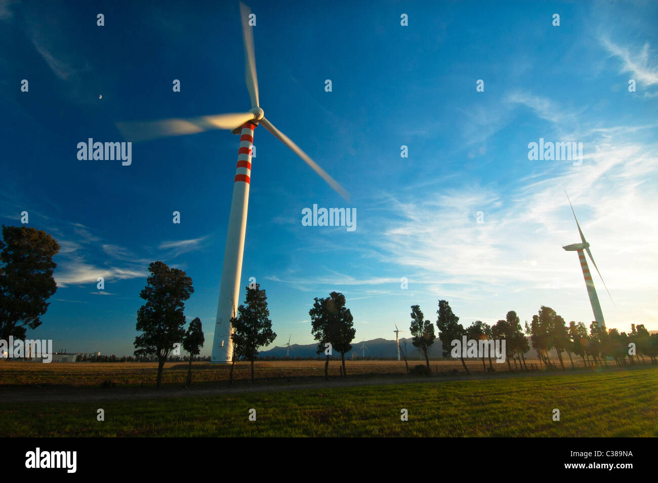 Wind Räder, Capoterra, Provinz Cagliari, Sardinien, Italien Stockfoto