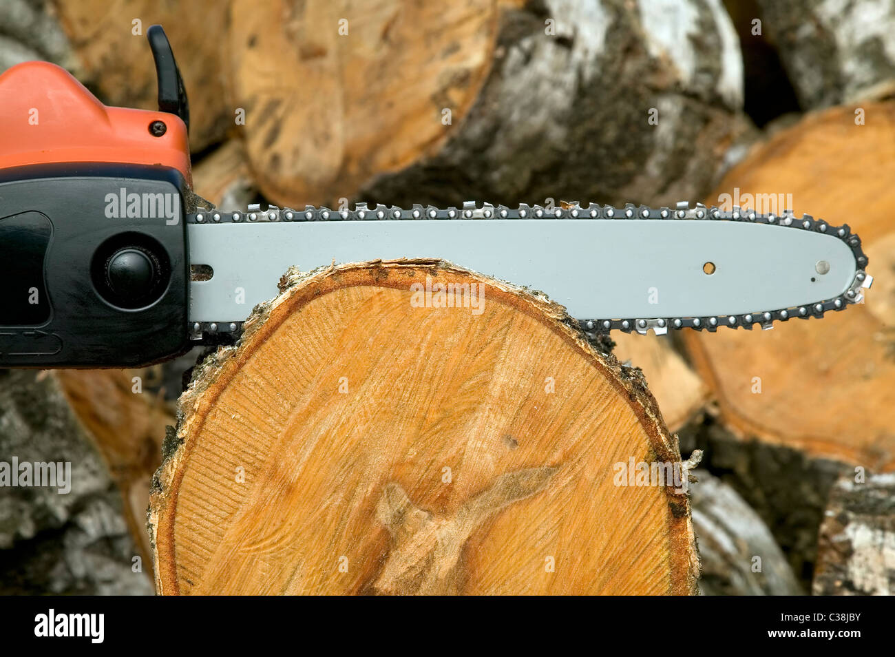 Gas-Motor-Kettensäge wird geschnitten, um Holz zu melden Stockfoto