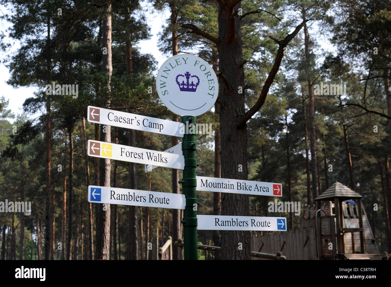 Wegweiser im Phänomen Wald Bracknell Berkshire England Uk Stockfoto