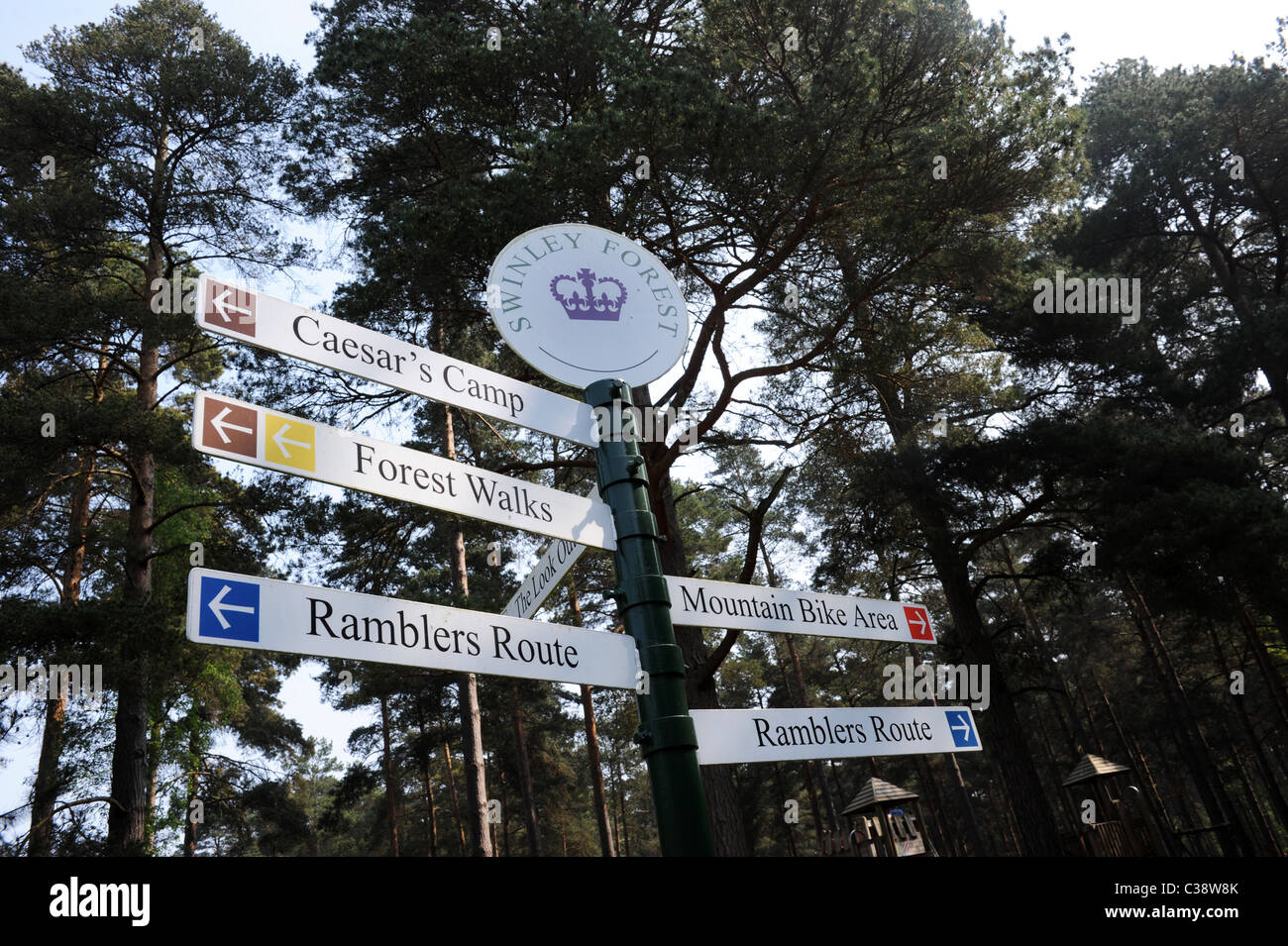 Wegweiser im Phänomen Wald Bracknell Berkshire England Uk Stockfoto