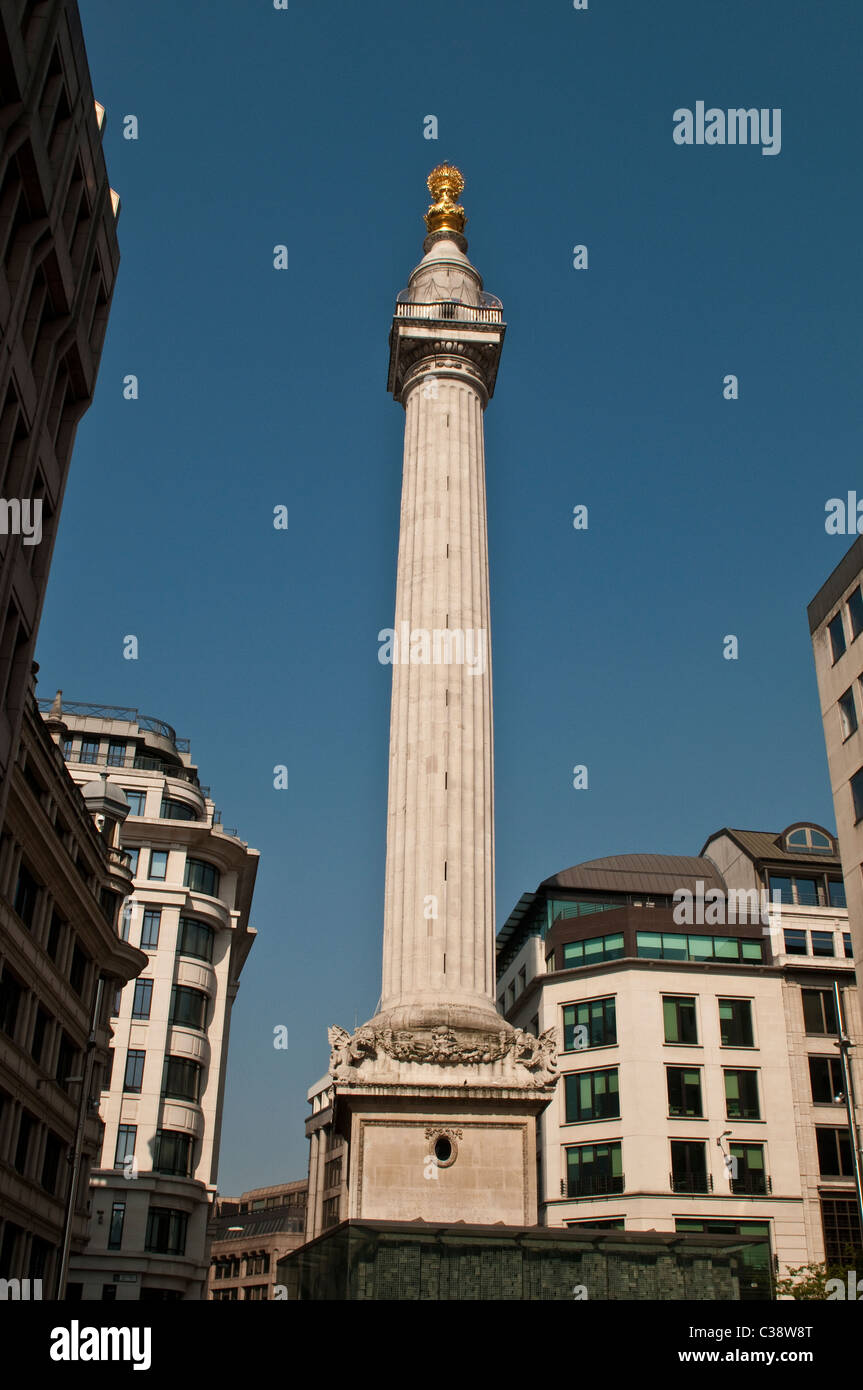 Das Denkmal für den großen Brand von London, City of London, UK Stockfoto