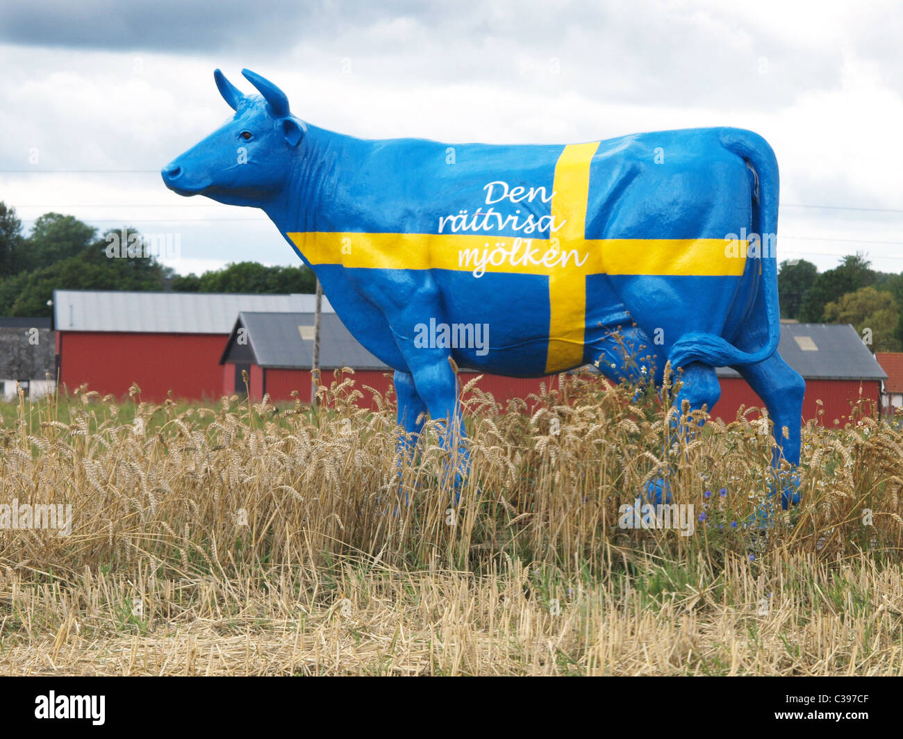 Abbildung einer Kuh in Landesfarben Schwedens, Scania, Schweden Stockfoto