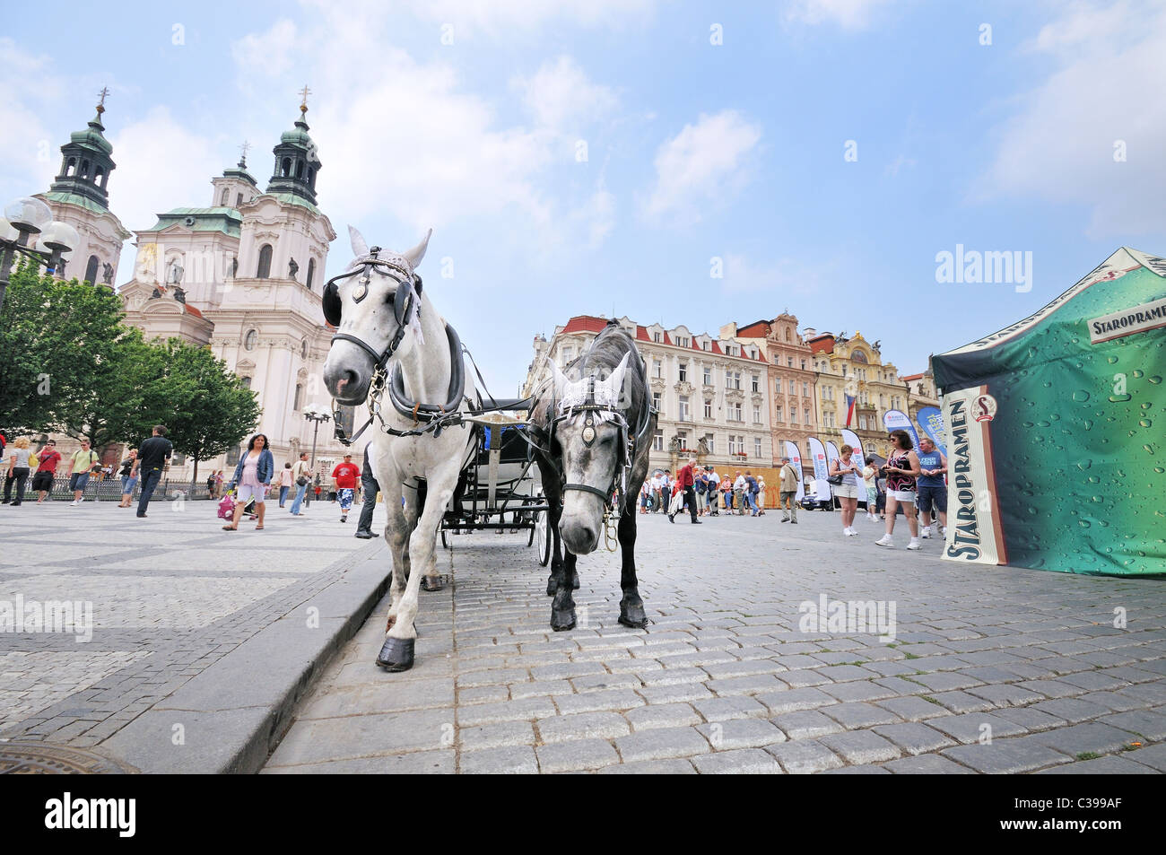 Pferde am Staromestske Namesti (Altstädter Ring) in der Nähe von der Kirche des Heiligen Nikolaus (Sv. Mikulas), Prag-Tschechien-Europa Stockfoto
