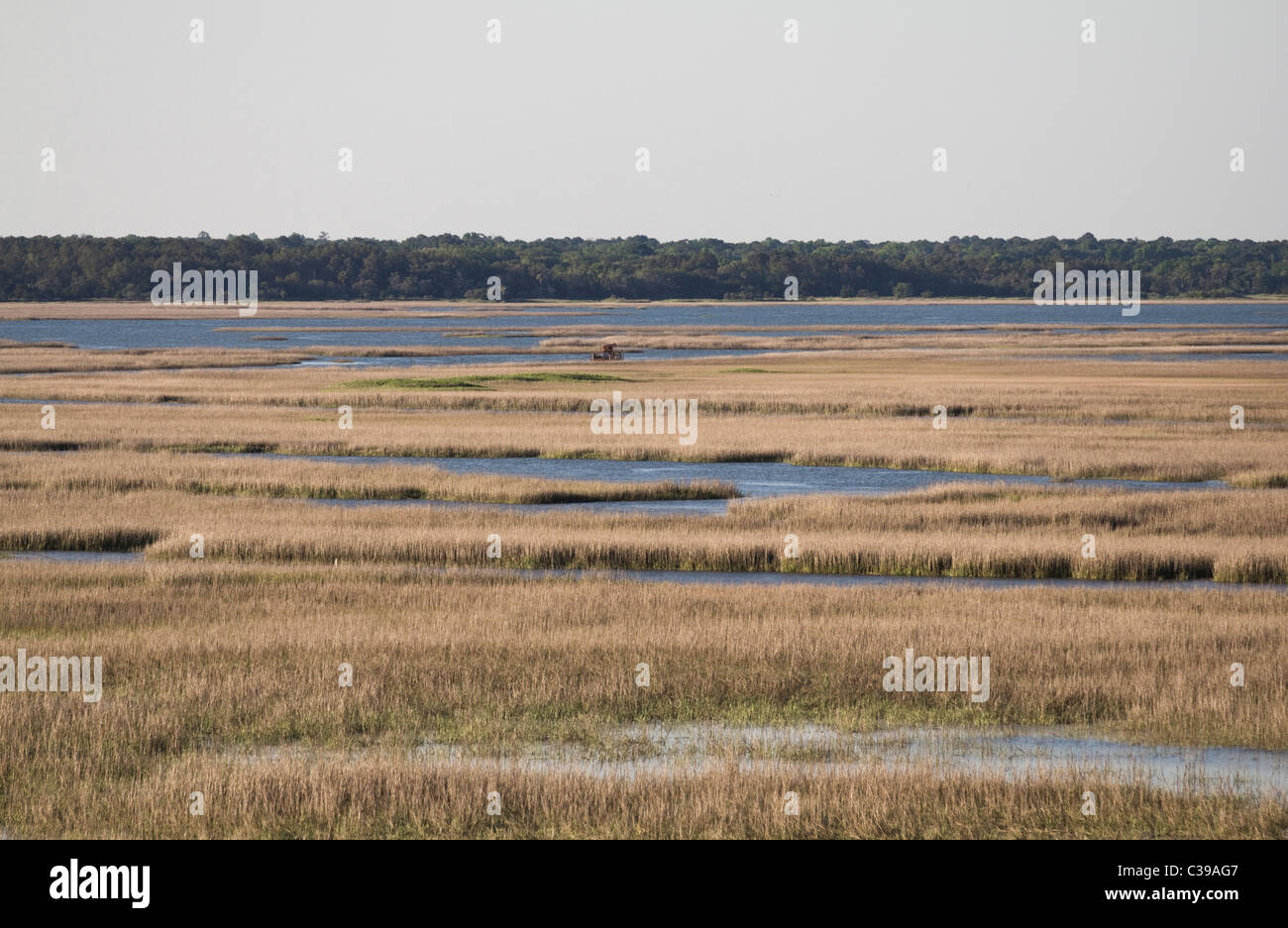 Salz-Sumpf entlang der Küste von South Carolina in der Nähe von Isle of Palms Insel Stockfoto