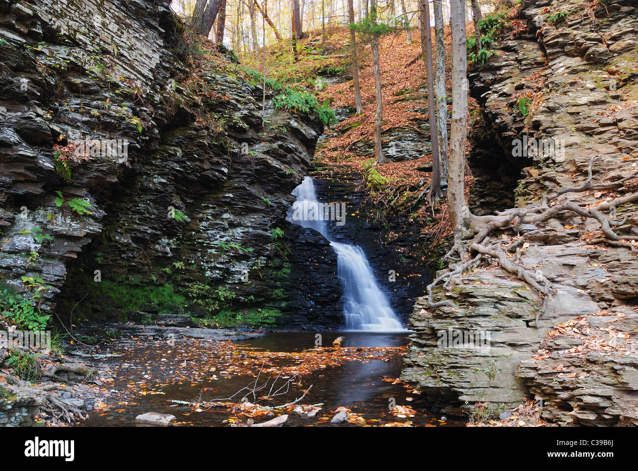 Herbst-Wasserfall in den Bergen mit Felsen und Laub. Zaum Vaill fällt aus Bushkill fällt, Pennsylvania. Stockfoto