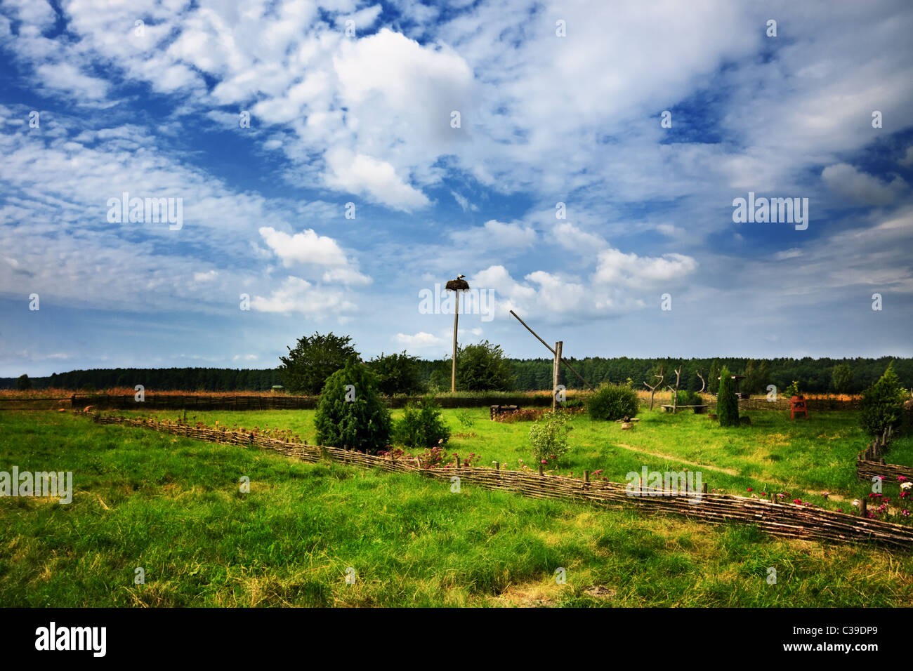 Kulturlandschaft mit Storch nisten im Sommertag Stockfoto