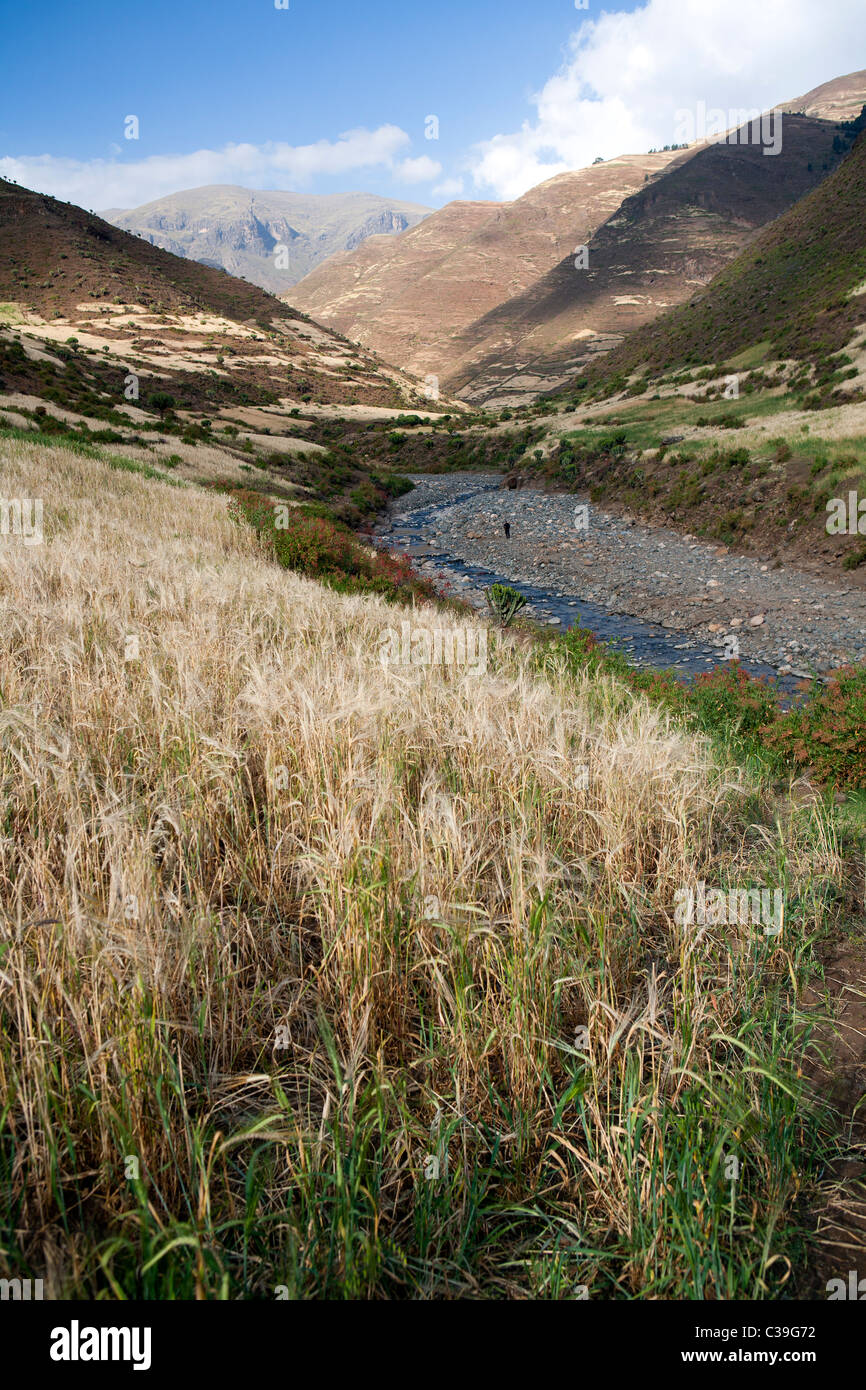 Das Mesheba-Tal in den Simien-Bergen Stockfoto
