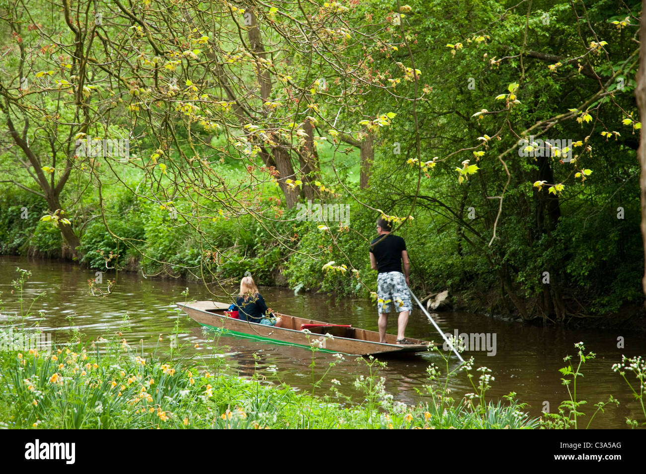 Junger Mann und Frau Stechkahn fahren auf dem Fluss Cherwell, Oxford, UK. Stockfoto