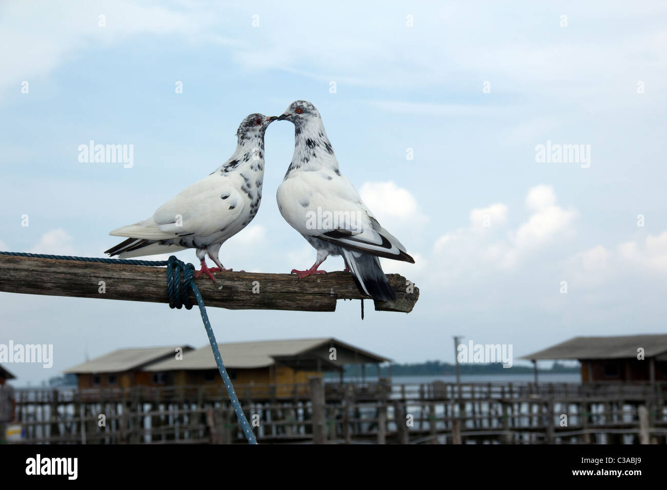 Ich liebe dich von Tg Pinang Stockfoto