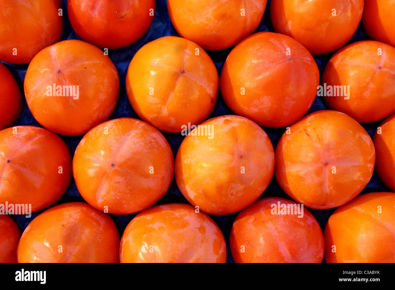 Persimon Früchte Muster in Reihen Anordnung Obst Hintergrund Stockfoto