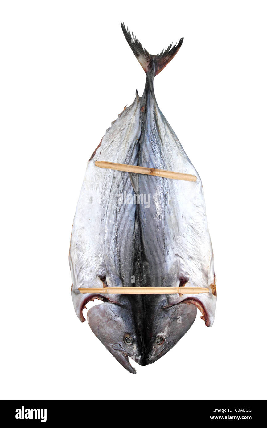 Bonito Thunfisch gesalzen Trockenfisch Mediteraranean Sarda Stil Stockfoto