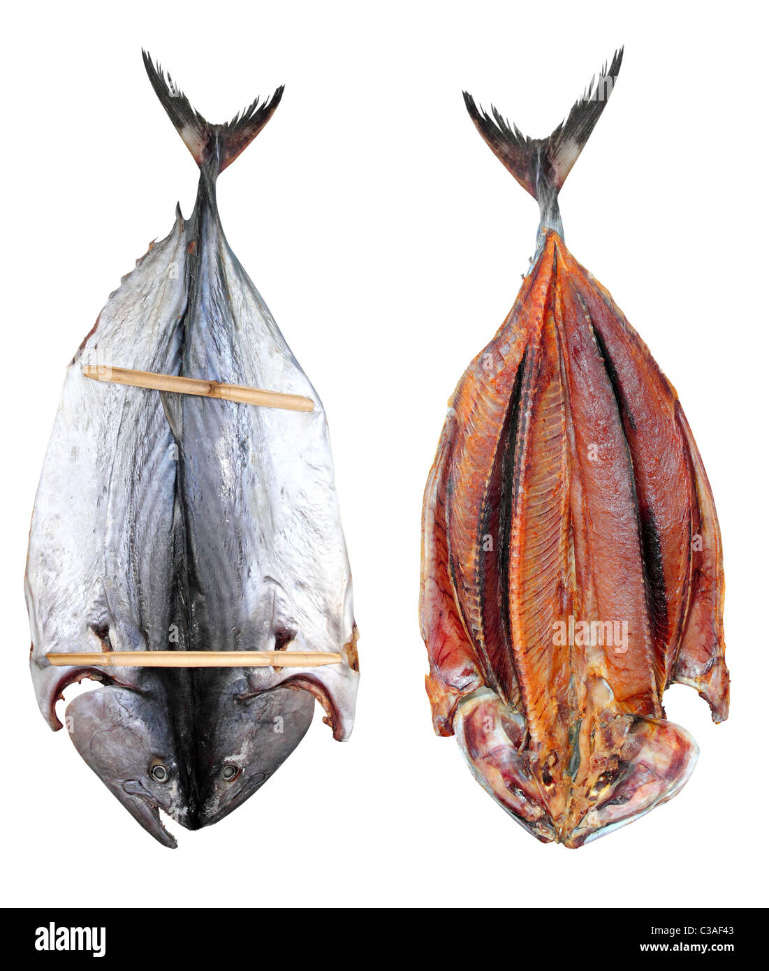 Bonito Thunfisch gesalzen Trockenfisch Mediteraranean Sarda Stil Stockfoto