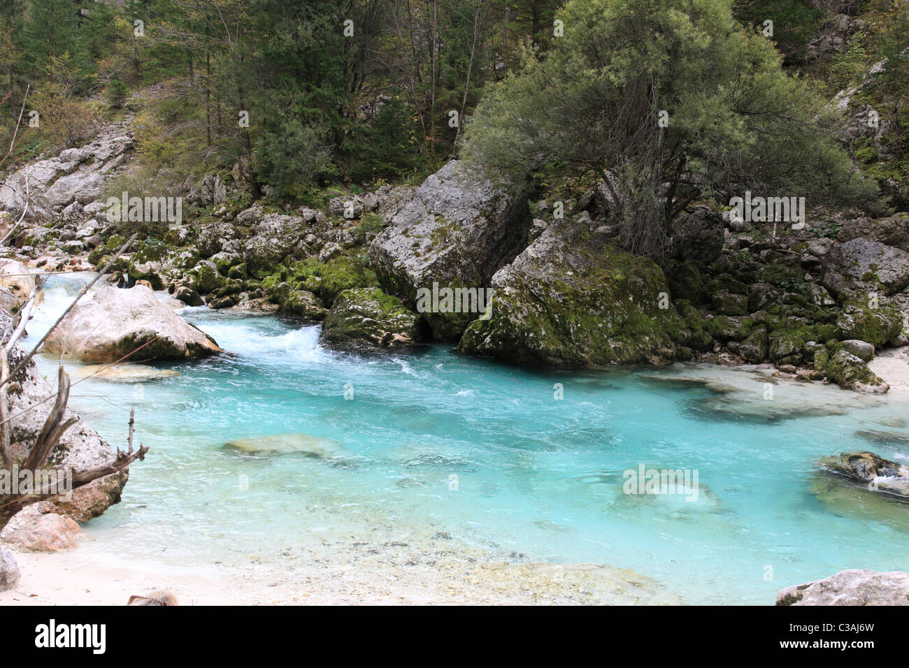 Schöne unberührte Wildnis in West-Slowenien, Europa. Stockfoto