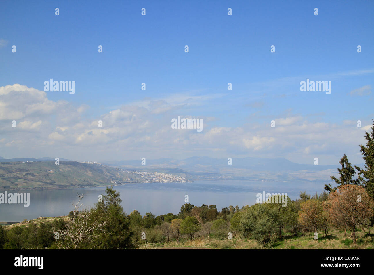 Golan-Höhen, Mevo Hamma Wald mit Blick auf den See Genezareth Stockfoto