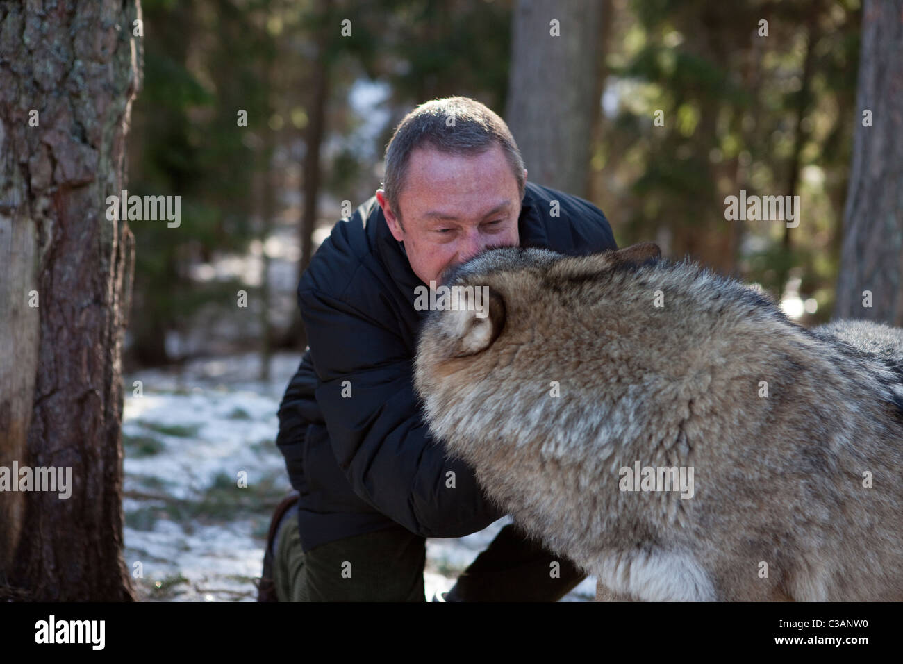 Mann mit Wolf im Tierpark Stockfoto