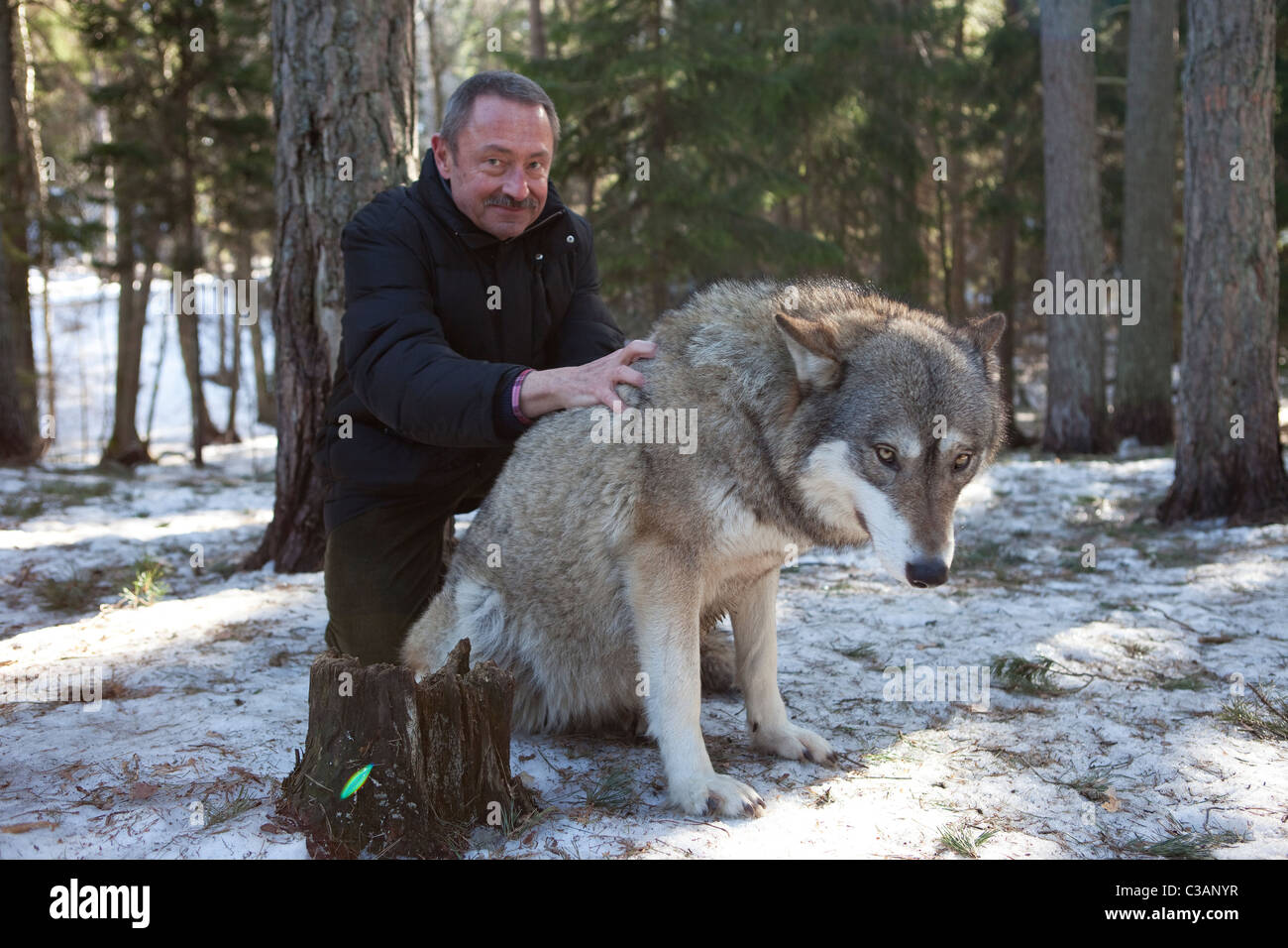 Mann mit Wolf im Tierpark Stockfoto