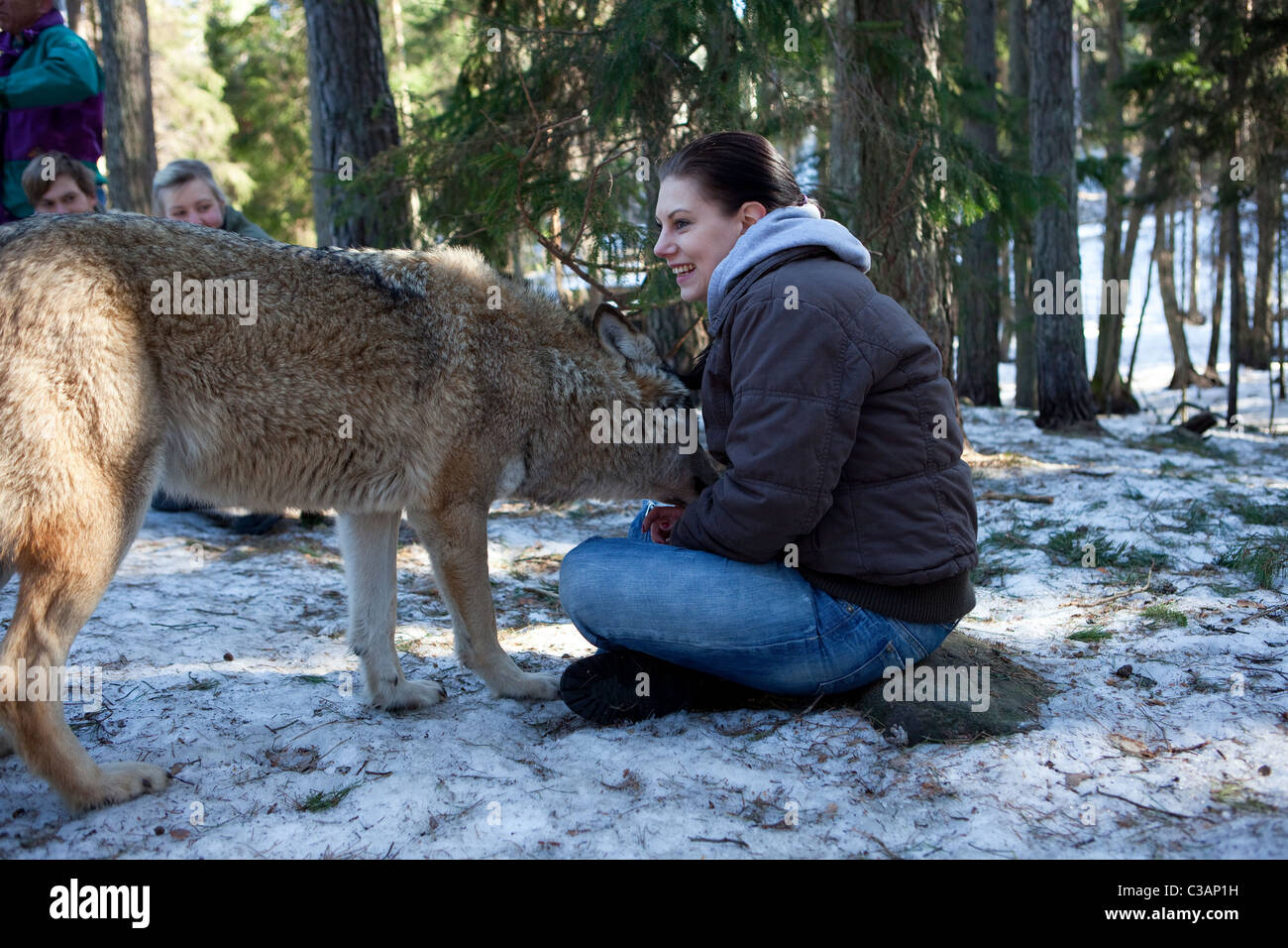 Mädchen mit Wolf im Tierpark Stockfoto