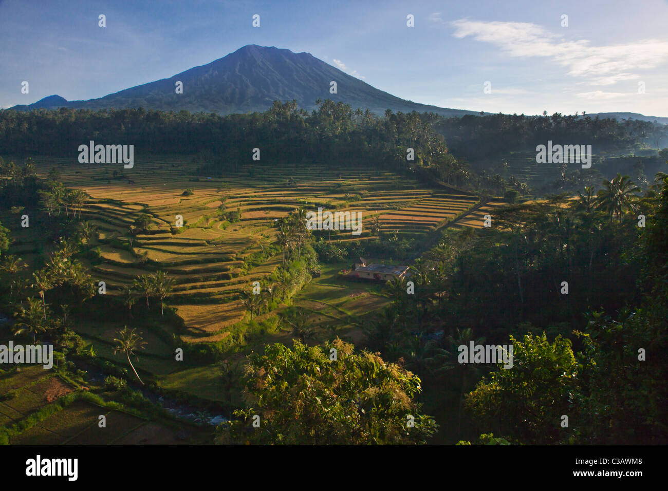 Die MAHAGIRI Reisfelder zieren die Hänge des Heiligen GUNUNG AGUNG der Inseln höchsten Vulkangipfel - BAlI, Indonesien Stockfoto