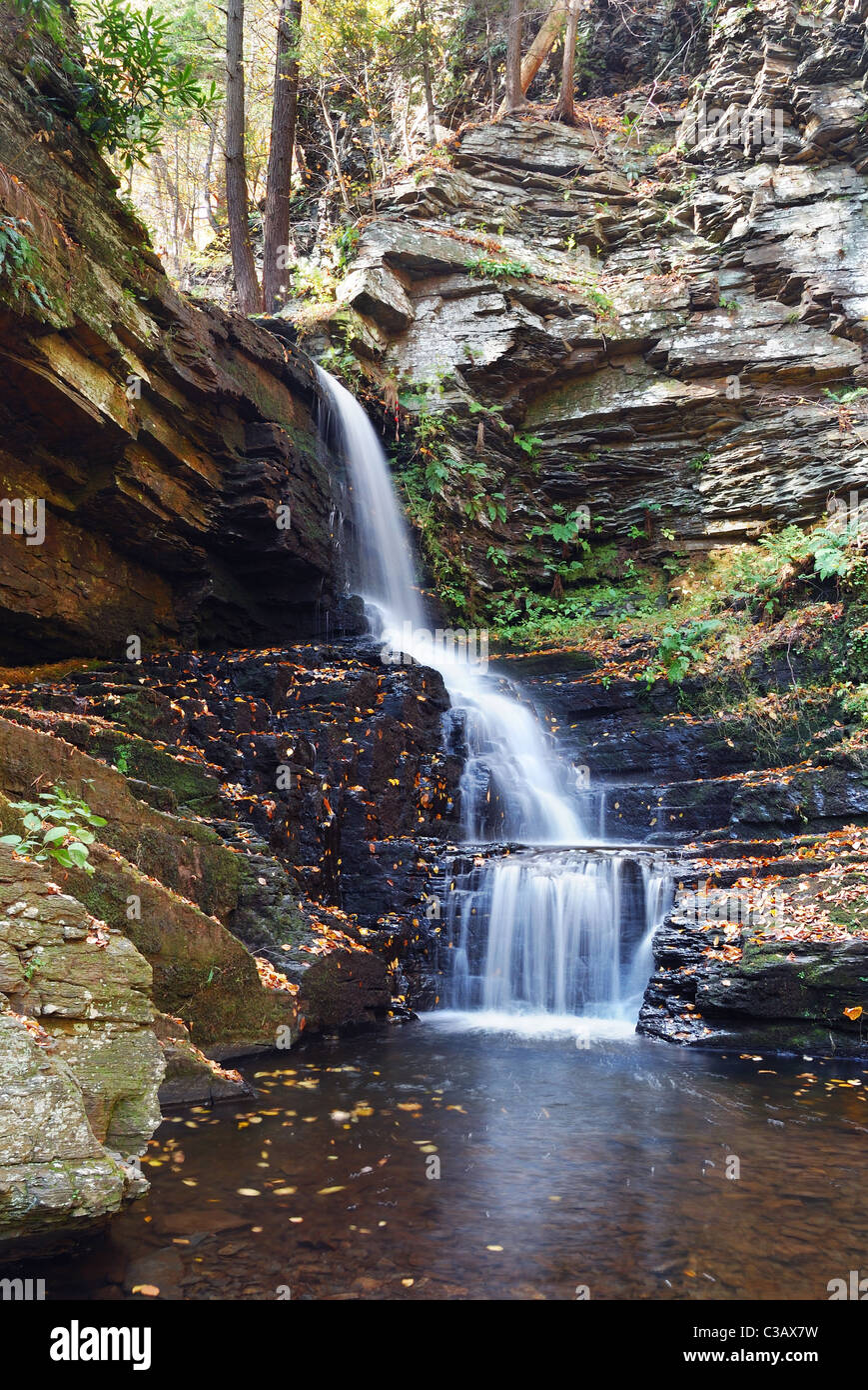 Herbst-Wasserfall in den Bergen von Bushkill Falls in Pennsylvania. Stockfoto