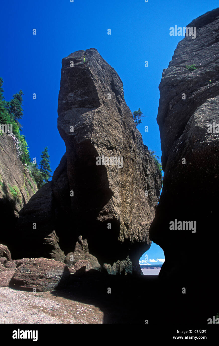 Blumentopf rockt, Hopewell Rocks, Bay Of Fundy, Baie de Fundy, Hopewell Cape, Provinz New Brunswick, Kanada, Nordamerika Stockfoto