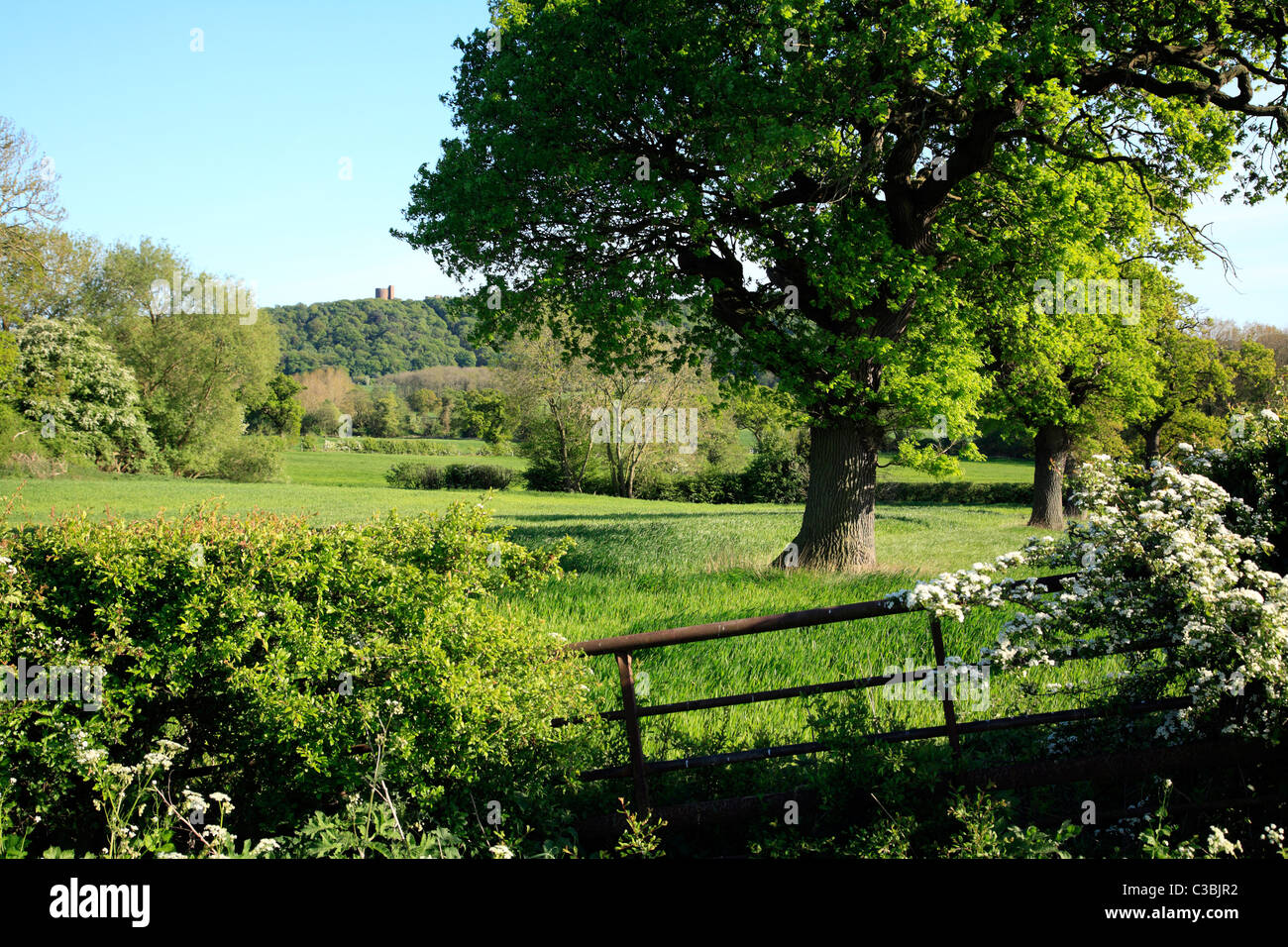 Cheshire Landschaft Beeston England UK Vereinigtes Königreich EU Europäische Union Europa Stockfoto